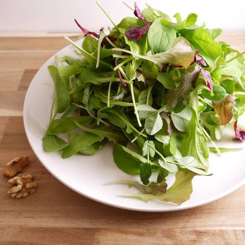 ベビーリーフミックス ２５０ｇパック 里山スプラウト農園 やまのまんなかだ